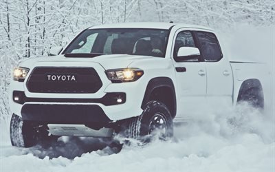 Toyota Tacoma TRD Pro, 4k, 2019 carros, offroad, inverno, novo Tacoma, Toyota