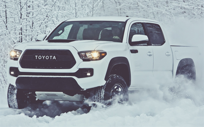 Toyota Tacoma TRD Pro, 4k, 2019 bilar, offroad, vinter, nya Tacoma, Toyota