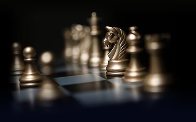 schack, intellektuell spel, figur h&#228;st, schackbr&#228;det