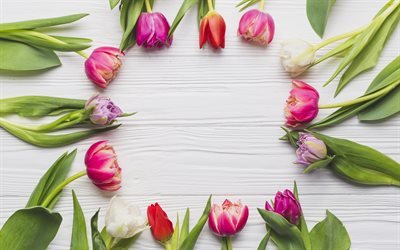 spring, tulips, spring flowers, frame of tulips, spring concepts
