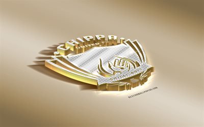 Chippa United FC, South African Football Club, Golden Silver logo, Port Elizabeth, South Africa, ABSA Premiership, Premier League, 3d golden emblem, creative art, football
