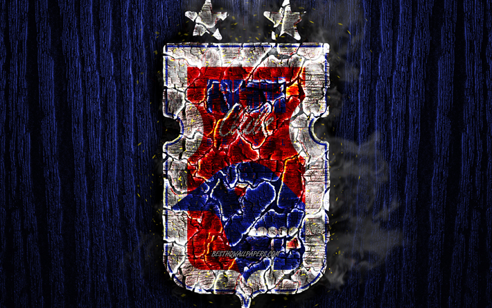 Parana FC, logo, Seri B, mavi ahşap arka plan, Brezilya Futbol Kul&#252;b&#252;, Parana Derneği, grunge, futbol, Parana logo, yangın doku yakılmış, Brezilya