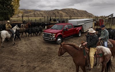 Ford F-450, Super Duty Limited, 2019, red new F-450, American pickup truck, American ranch, bulls, USA, Ford