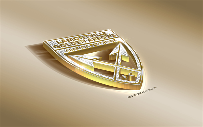 Frecce d&#39;oro FC, South African Football Club, Oro Argento logo, Durban, in Sud Africa, ABSA premier league, Premier League, 3d, dorato, emblema, creative 3d di arte, di calcio