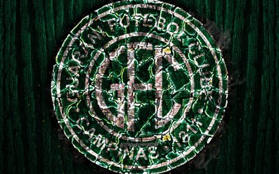 Guarani FC, scorched logo, Serie B, green wooden background, brazilian football club, Guarani, grunge, football, soccer, Guarani logo, fire texture, Brazil