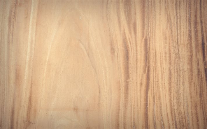 4k, vaaleanruskea puinen rakenne, l&#228;hikuva, pystysuora puinen rakenne, puinen taustat, puinen tekstuurit, makro, vaaleanruskea taustat, ruskea puu, vaaleanruskea puinen tausta