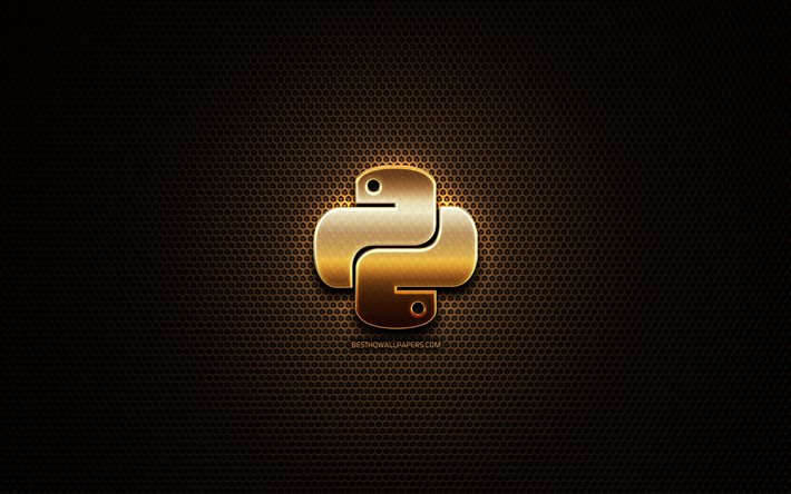 Python glitter logotipo, linguagem de programa&#231;&#227;o, grade de metal de fundo, Python, criativo, programa&#231;&#227;o em linguagem de sinais, Python logotipo