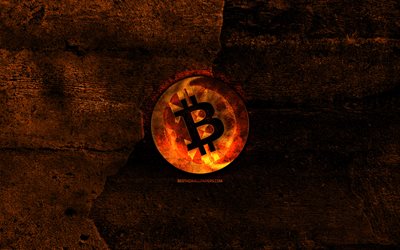 Bitcoin Cash fiery logo, orange stone background, creative, Bitcoin Cash logo, cryptocurrency, Bitcoin Cash