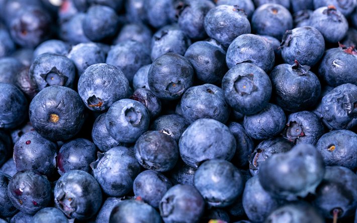 blueberries, 4k, macro, berries, food textures, fresh fruits, background with blueberries