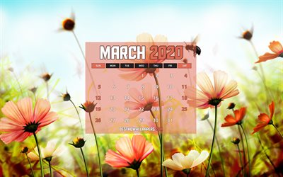 En mars 2020 Calendrier, fleurs de printemps, 4k, 2020 calendrier, le printemps des calendriers, en Mars 2020, cr&#233;atif, floral de milieux, en Mars 2020 calendrier avec des fleurs, Calendrier Mars 2020, des illustrations, des calendriers 2020