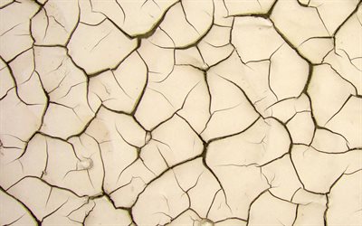 texture s&#232;che du sol, texture avec fissures, fond sec du sol, fissures dans le mur