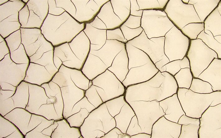 textura seca do solo, textura com rachaduras, fundo do solo seco, rachaduras na parede