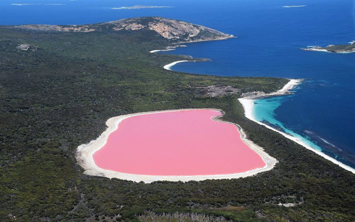 Lago Hillier, lago rosa, lago salino, floresta de eucalipto, costa sul do oceano, Austr&#225;lia, Middle Island