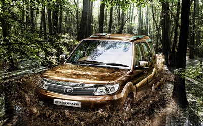 4k, Tata Safari Storme, forest, 2015 cars, car in river, SUVs, offroad, 2015 Tata Safari Storme, indian cars, Tata