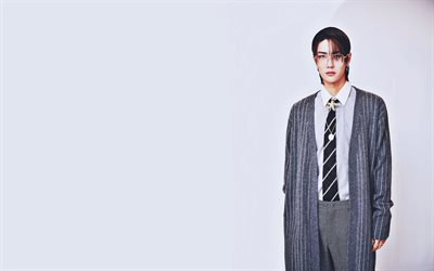 Wang Yibo, sfondo grigio, attore cinese, ragazzi, celebrit&#224; cinese, minimalismo, servizio fotografico di Wang Yibo