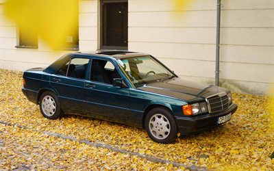 mercedes-benz 190e, 1993, au&#223;en, mercedes-benz w201, blaue limousine, deutsche autos, mercedes