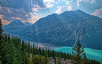 4k, Peyto Lake, sunny weather, summer, Banff, mountains, Banff National Park, Canada, Alberta, HDR, beautiful nature