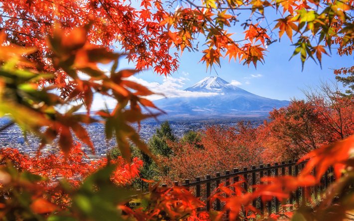 Monte Fuji, autunno, vulcano, Fujisan, paesaggio montano, foglie d&#39;acero arancione, paesaggio autunnale, Giappone