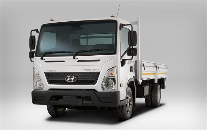 Hyundai Poderoso EX8, 4k, 2018 caminh&#227;o, ve&#237;culos comerciais, o transporte de carga, Poderoso EX8, Hyundai