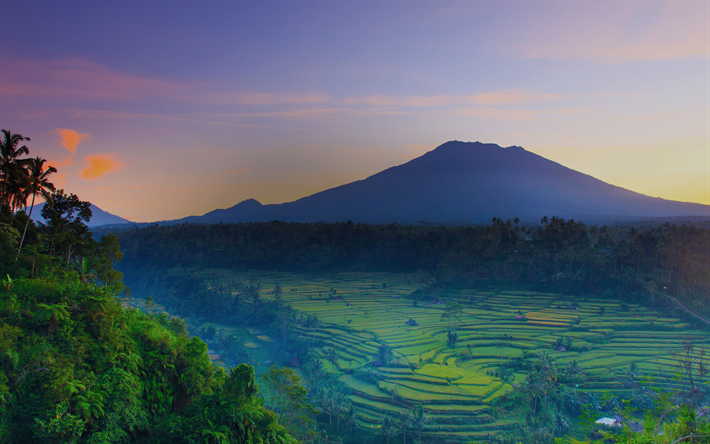 Bali, 4k, sunset, volcano, rice fields, Benoa, Indonesia