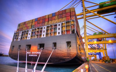 MSC Savona, 4k, lastfartyg, cargo transport, container fartyg, port, MSC
