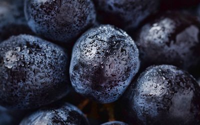 las uvas negras, macro, frutas, graona de la uva, el roc&#237;o, las uvas, las gotas de agua