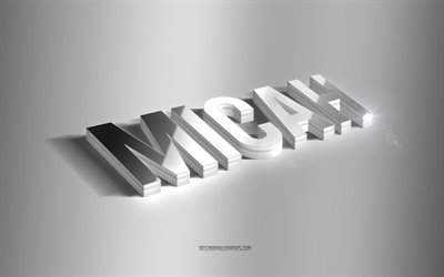 micah, silver 3d-konst, gr&#229; bakgrund, tapeter med namn, micahs namn, micah gratulationskort, 3d-konst, bild med micahs namn