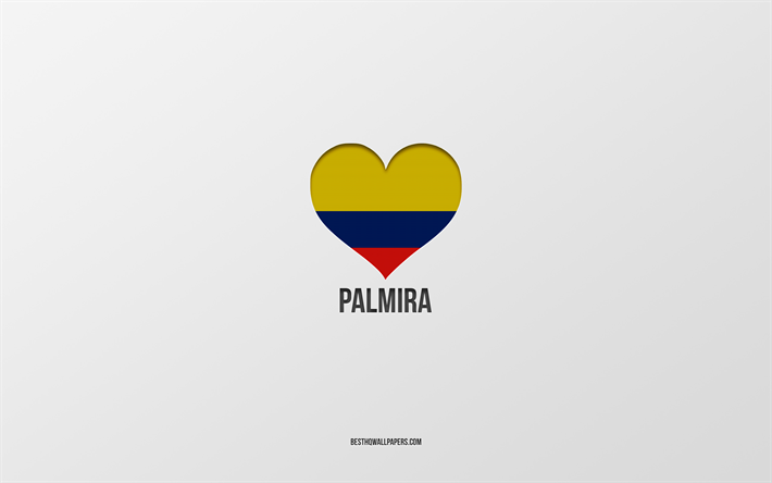パルミラが大好き, コロンビアの都市, パルミラの日, 灰色の背景, パルミラ, コロンビア, コロンビアの旗の心臓, 好きな都市