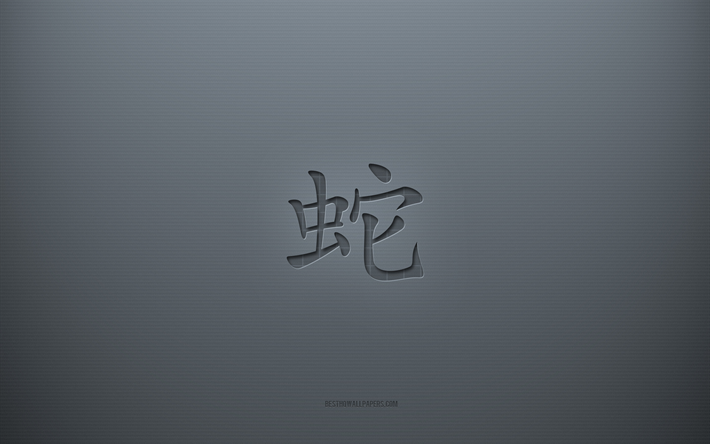 蛇漢字記号, 灰色の創造的な背景, ヘビの日本語のキャラクター, 日本の象形文字, 蛇, 漢字, ヘビの日本のシンボル, 灰色の紙の質感, ヘビの象形文字