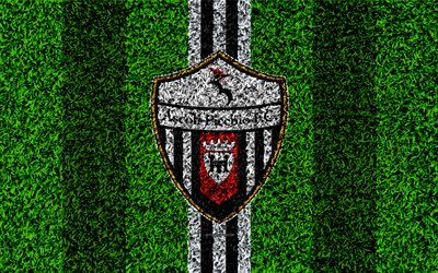 Ascoli Picchio FC, 4k, football lawn, Italian football club, logo, black and white lines, grass texture, Serie B, Ascoli Piceno, Italy, football, Ascoli FC