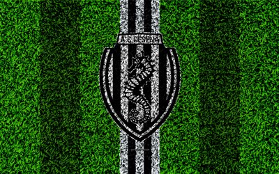 AC Cesena, 4k, football lawn, italian football club, logo, black and white lines, grass texture, Serie B, Cesena, Italy, football, Associazione Calcio Cesena
