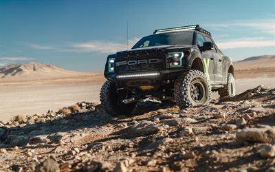 Ford F-150 Raptor, X-Box Edition, 2018, pickup, exterior, desert, front view, tuning F-150, American cars, Ford