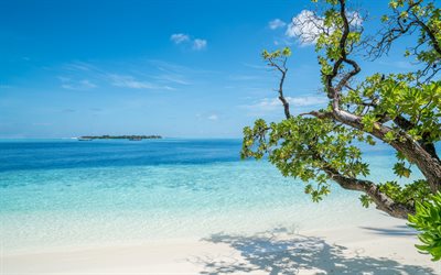 blue lagoon, beach, white sand, bushes, tropical island, summer, seascape, summer travels