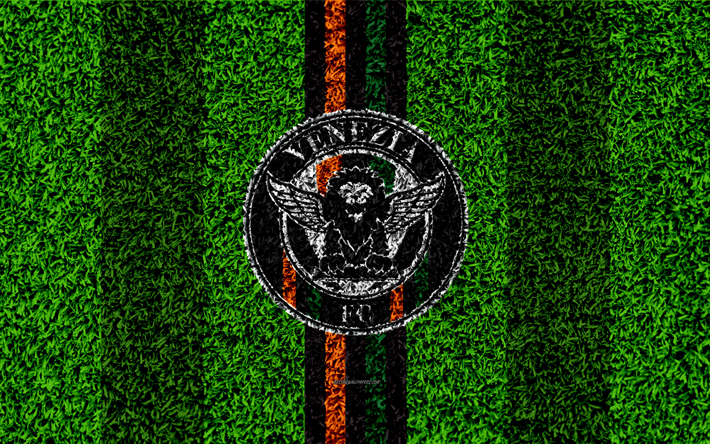 Venetsia FC, 4k, jalkapallo nurmikko, Italian football club, logo, musta linjat, ruohon rakenne, Serie B, Venetsia, Italia, jalkapallo