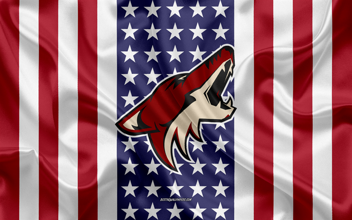 Arizona Coyotes, 4k, logotipo, emblema, de seda, de textura, de la bandera Americana, American hockey club, NHL, Glendale, Arizona, los estados UNIDOS, la Liga Nacional de Hockey, Hockey, bandera de seda