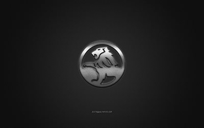 Logo Holden, logo argenté, fond gris en fibre de carbone, emblème métallique Holden, Holden, marques de voitures, art créatif