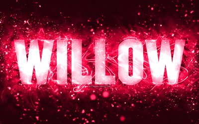 Happy Birthday Willow, 4k, luzes de n&#233;on rosa, nome Willow, criativo, Willow Happy Birthday, Willow Birthday, nomes femininos populares americanos, imagem com nome Willow, Willow