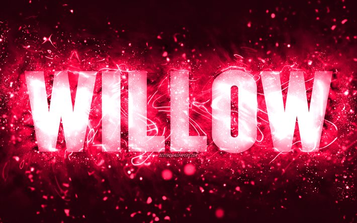 Happy Birthday Willow, 4k, pink neon lights, Willow name, creative, Willow Happy Birthday, Willow Birthday, popular american female names, picture with Willow name, Willow