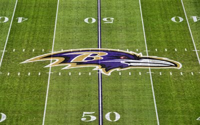 Baltimore Ravens logo, NFL, MT Bank Stadium, football stadium, american football, National Football League, Baltimore Ravens, USA