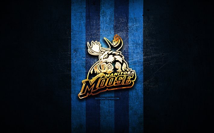 Manitoba Moose, ouro logotipo, AHL, metal azul de fundo, americana time de h&#243;quei, American Hockey League, Manitoba Moose logotipo, h&#243;quei, EUA