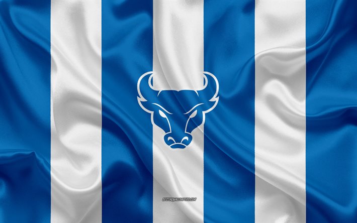 Buffalo Touros, Time de futebol americano, emblema, seda bandeira, azul e branco de seda textura, NCAA, Buffalo Touros logotipo, Nova York, EUA, Futebol americano, Buffalo Touros de futebol