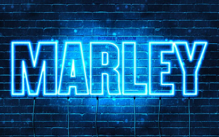 marley, 4k, tapeten, die mit namen, horizontaler text, namen marley, happy birthday marley, blue neon lights, bild mit dem namen marley