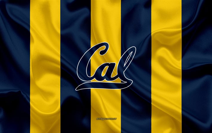 california golden bears, amerikanischer fu&#223;ball-team -, emblem -, seiden-fahne, blau, gelbe seide textur, ncaa, california golden bears logo, berkeley, california, usa, american football