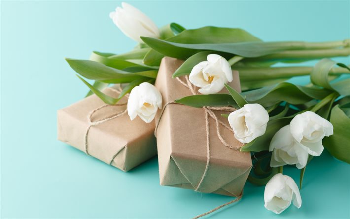 tulipanes blancos, flores de primavera, regalos, tulipanes, fondo con tulipanes, paquete