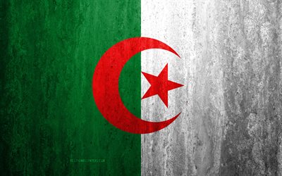 Cezayir bayrağı, 4k, taş arka plan, grunge bayrak, Afrika, Cezayir bayrak, grunge sanat, ulusal semboller, Cezayir, taş doku