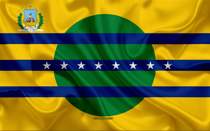 thumb2-flag-of-bolivar-state-4k-silk-flag-venezuelan-state-bolivar-state.jpg