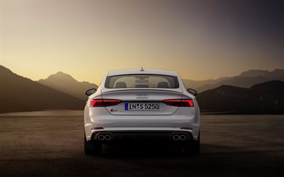 Audi S5 Sportback, 2019, rear view, exterior, new white S5 Sportback, german cars, Audi