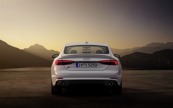 Audi S5 Sportback, 2019, takaa katsottuna, ulkoa, uusi valkoinen S5 Sportback, saksan autoja, Audi