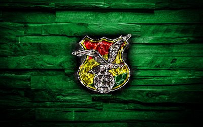 Bolivia, burning logo, Conmebol, red wooden background, grunge, South America National Teams, football, Bolivian soccer team, soccer, Bolivia national football team