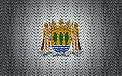 Bandiera della provincia di Gipuzkoa, 4k, creativo, arte, rete metallica texture, Gipuzkoa bandiera, simbolo nazionale, le province di Spagna, Guip&#250;zcoa, Spagna, Europa